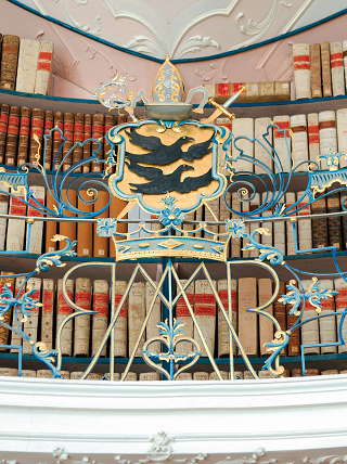 Der Heilsspiegel aus Kloster Einsiedeln: Die Handschrift