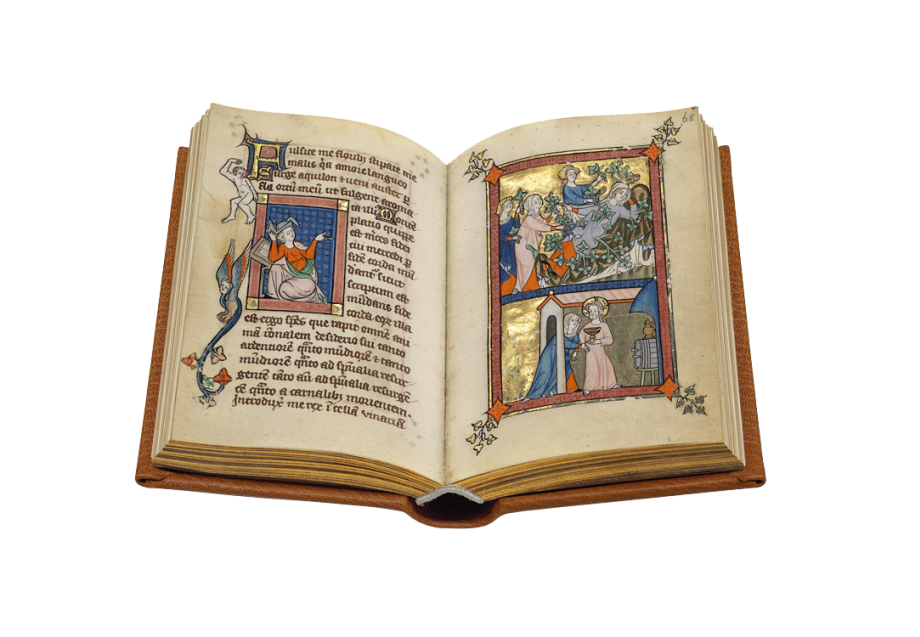 Rothschild Canticles